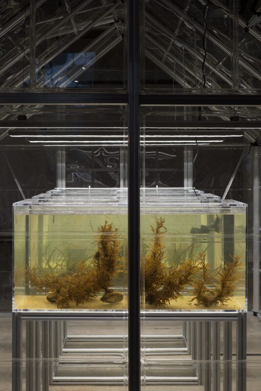 Plants grow inside multiple indoor greenhouse structures in a brightly lit, windowless room.