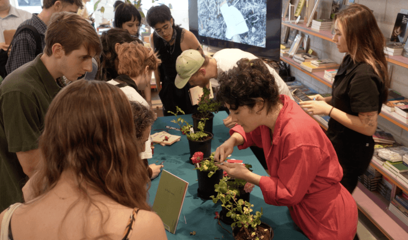 A group of people watching Gabriella Hirst and Warren Harper demonstrate grafting a rose.